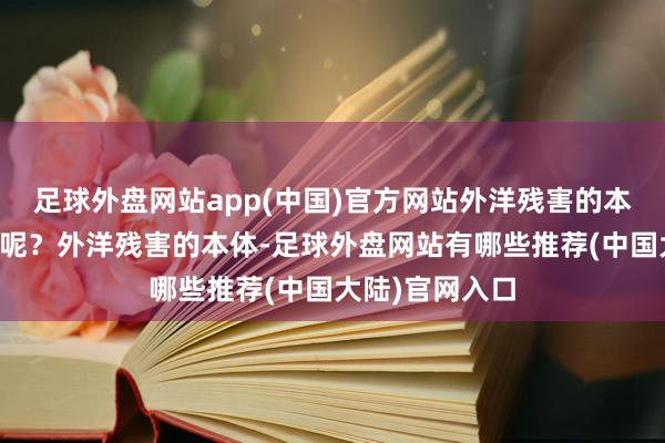 足球外盘网站app(中国)官方网站外洋残害的本体究竟是什么呢?外洋残害的本体-足球外盘网站有哪些推荐(中国大陆)官网入口