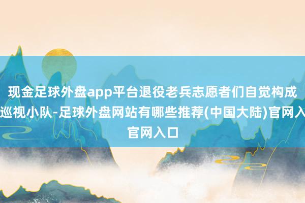 现金足球外盘app平台退役老兵志愿者们自觉构成了巡视小队-足球外盘网站有哪些推荐(中国大陆)官网入口