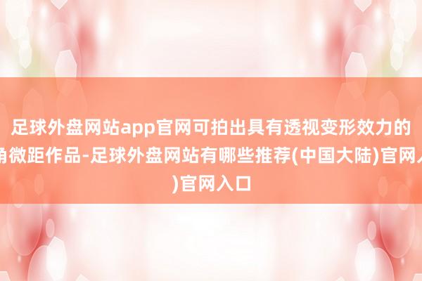 足球外盘网站app官网可拍出具有透视变形效力的广角微距作品-足球外盘网站有哪些推荐(中国大陆)官网入口