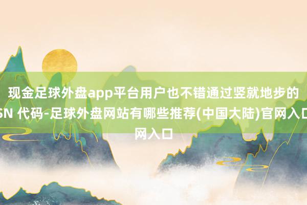 现金足球外盘app平台用户也不错通过竖就地步的 SN 代码-足球外盘网站有哪些推荐(中国大陆)官网入口