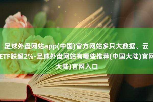 足球外盘网站app(中国)官方网站多只大数据、云野心ETF跌超2%-足球外盘网站有哪些推荐(中国大陆)官网入口