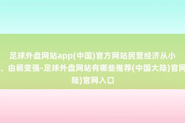 足球外盘网站app(中国)官方网站民营经济从小到大、由弱变强-足球外盘网站有哪些推荐(中国大陆)官网入口